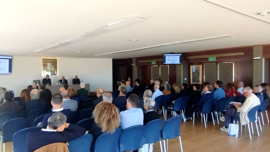aae assemblea 2026