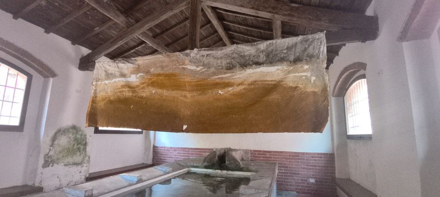 Anadyomene. Nascente dall'acqua rio 2