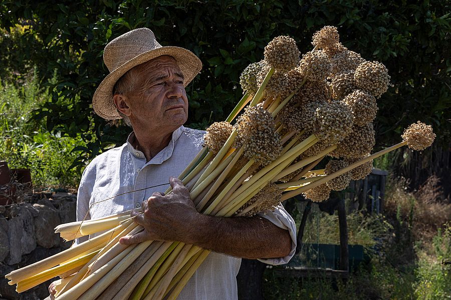 Elbani. Anima isolana (1)