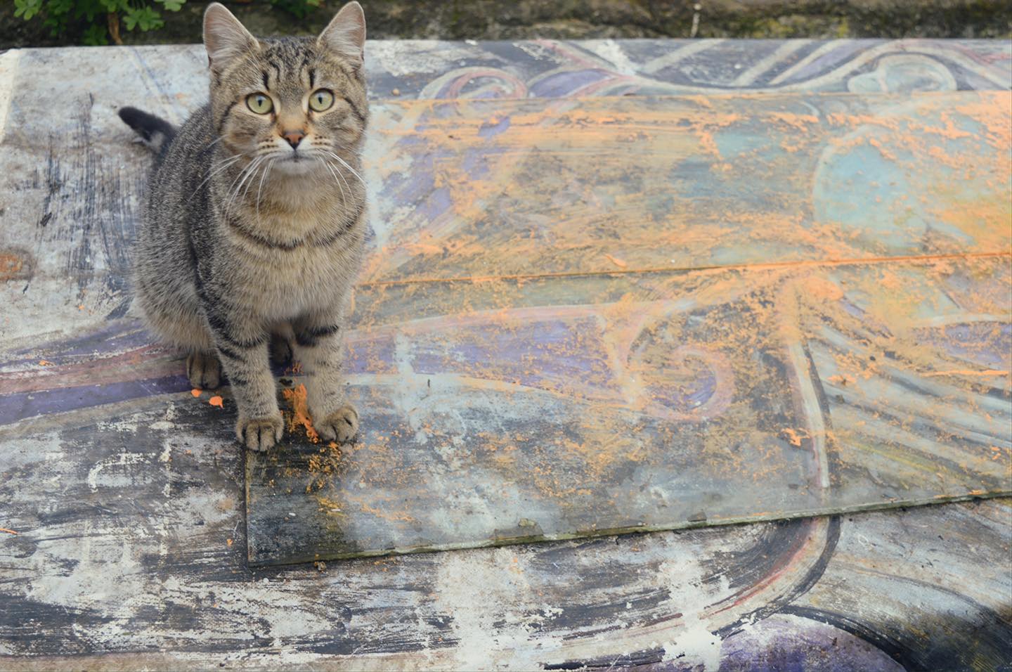 angela galli museo d artista (2)