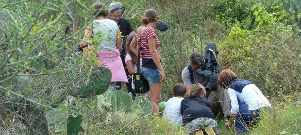 zu tish bimbi 23 620