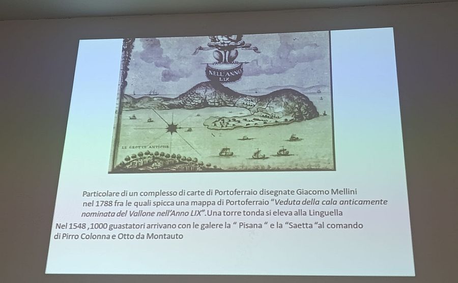 camici falcone (1)