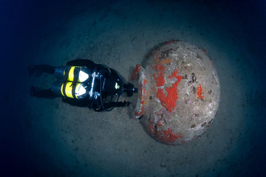 dolium arcipelago 3