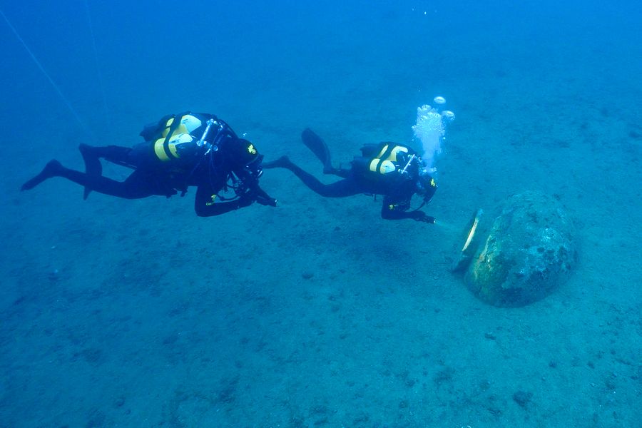dolium arcipelago 4
