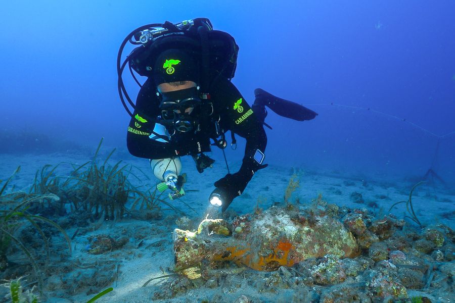 dolium arcipelago 57
