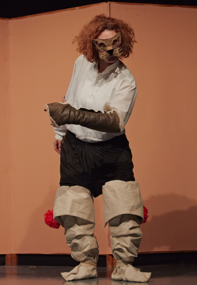 foto gatto 2013 (11)