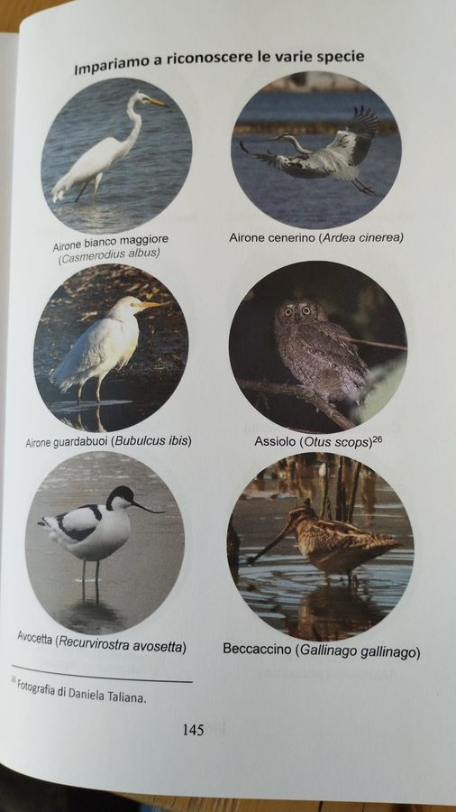 appunti birdwatching (2)