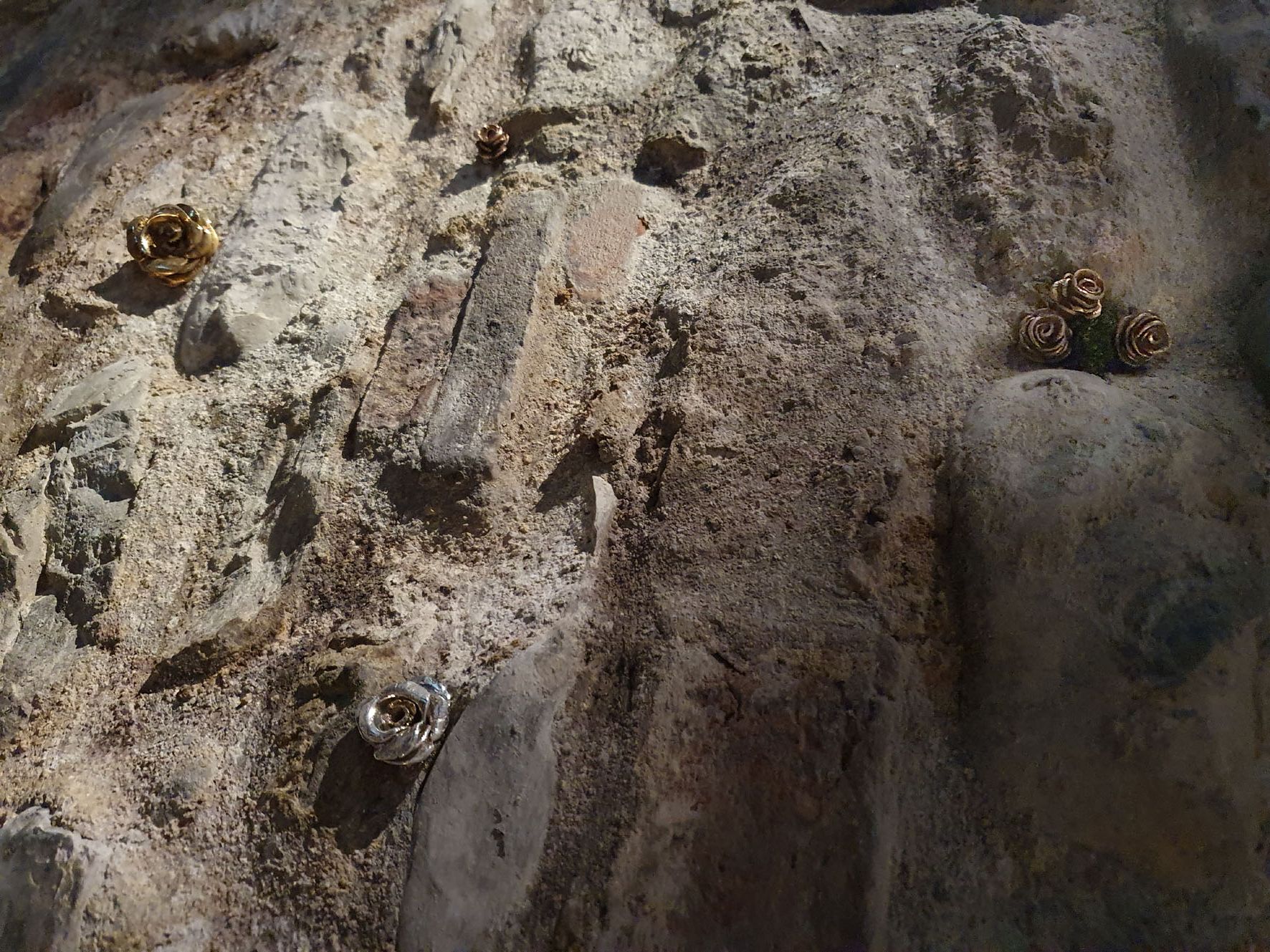 5 Le rose di Rosanna