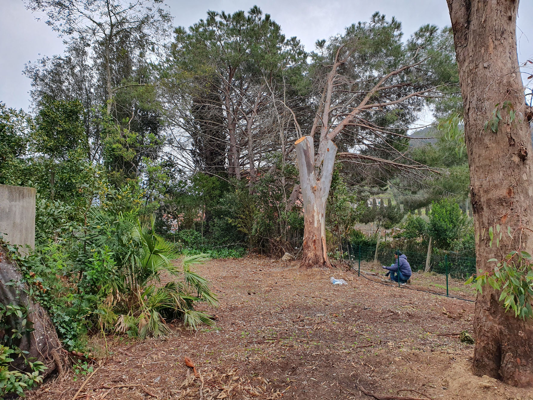 6 Lavori in corso al Museo