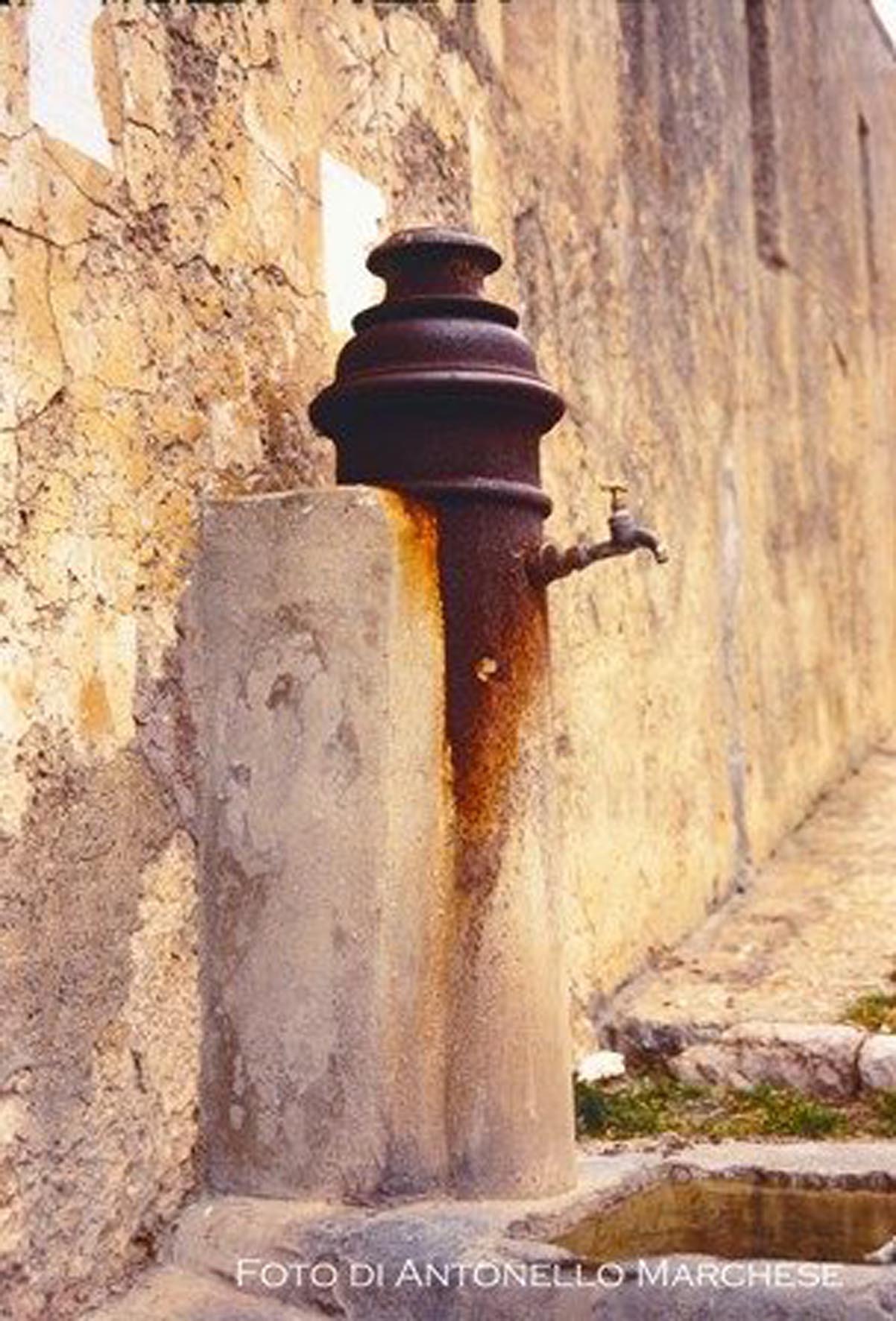 mostra luoghi d'acqua fontanella