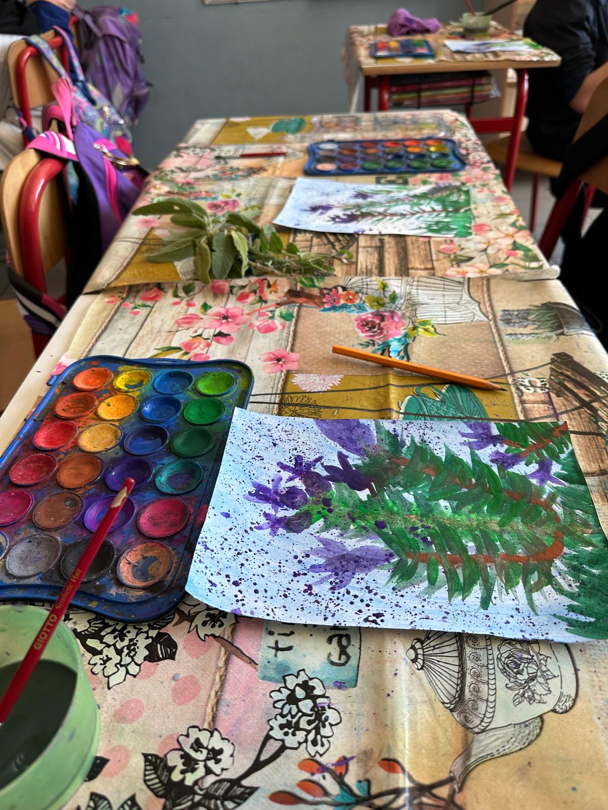 piante officinali (3)