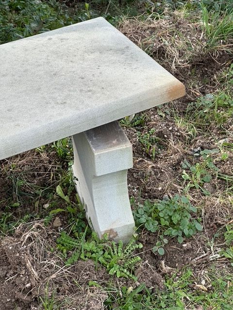 villa grotte invasa da cinghiali (1)