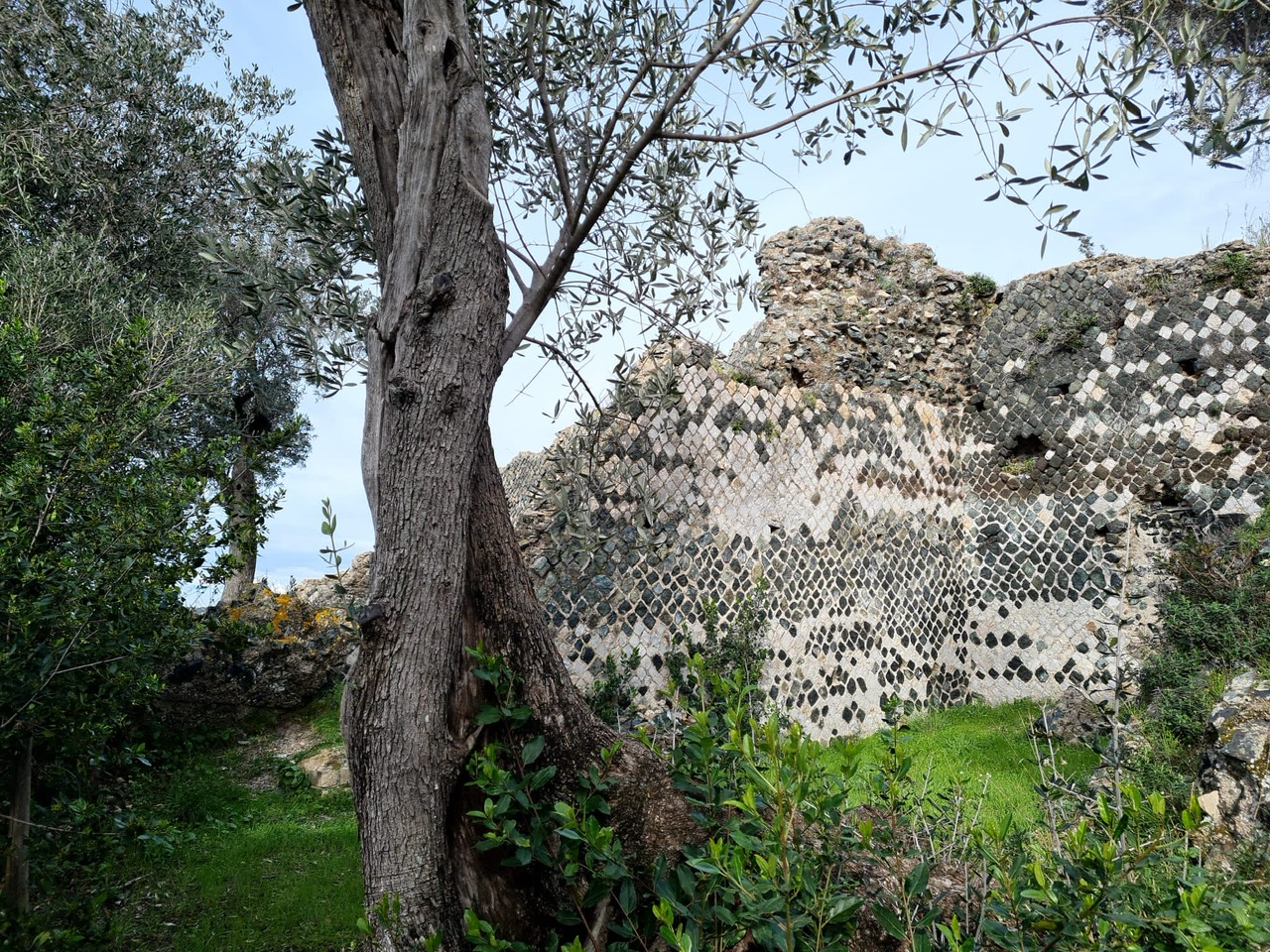 Scuola di P Azzurro grotte 12