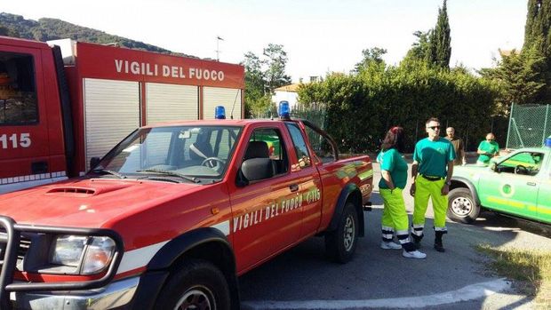 Boschive ricerche mezzi