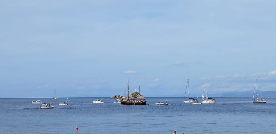 manifestazione per gaza (4)