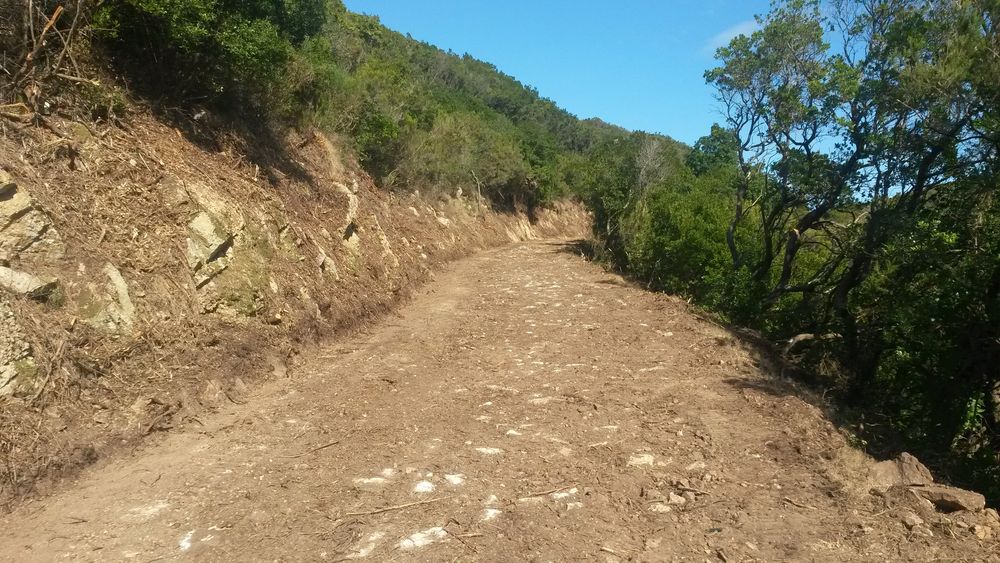 S. Martino-Monumento1