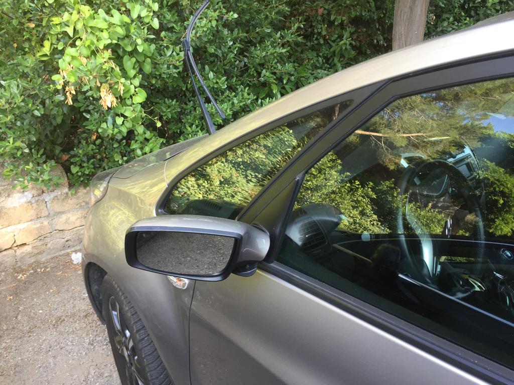 WhatsApp Image 2019-07-21 at 18.40.47