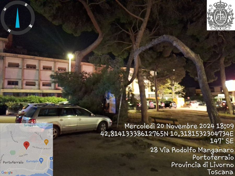albero caduto piazza petri