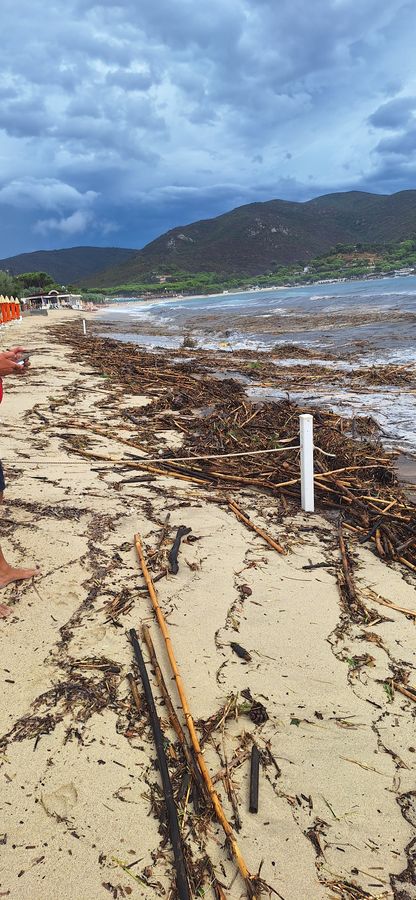 spiaggia campo