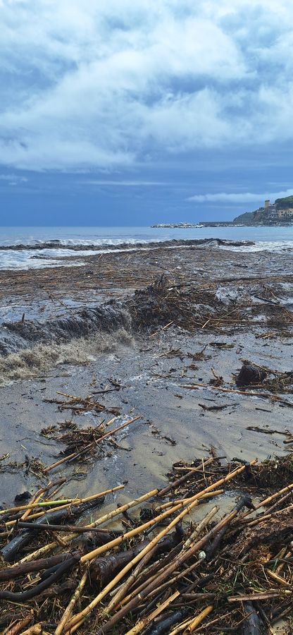 spiaggia campo 1