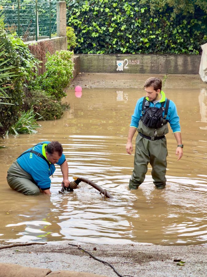 idrovore porto azzurro