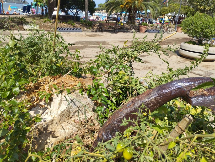 bagnaia post allagamento 3