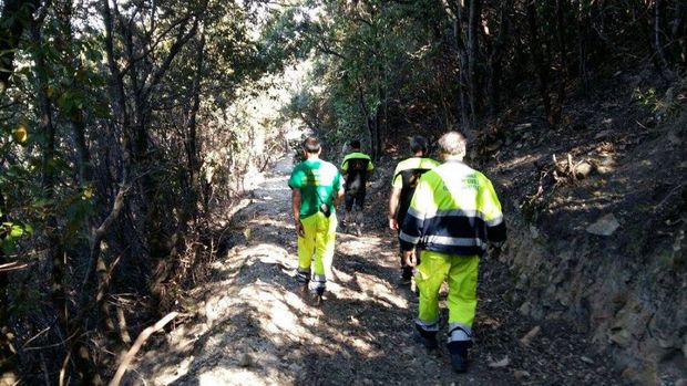 boschive ricerche bis