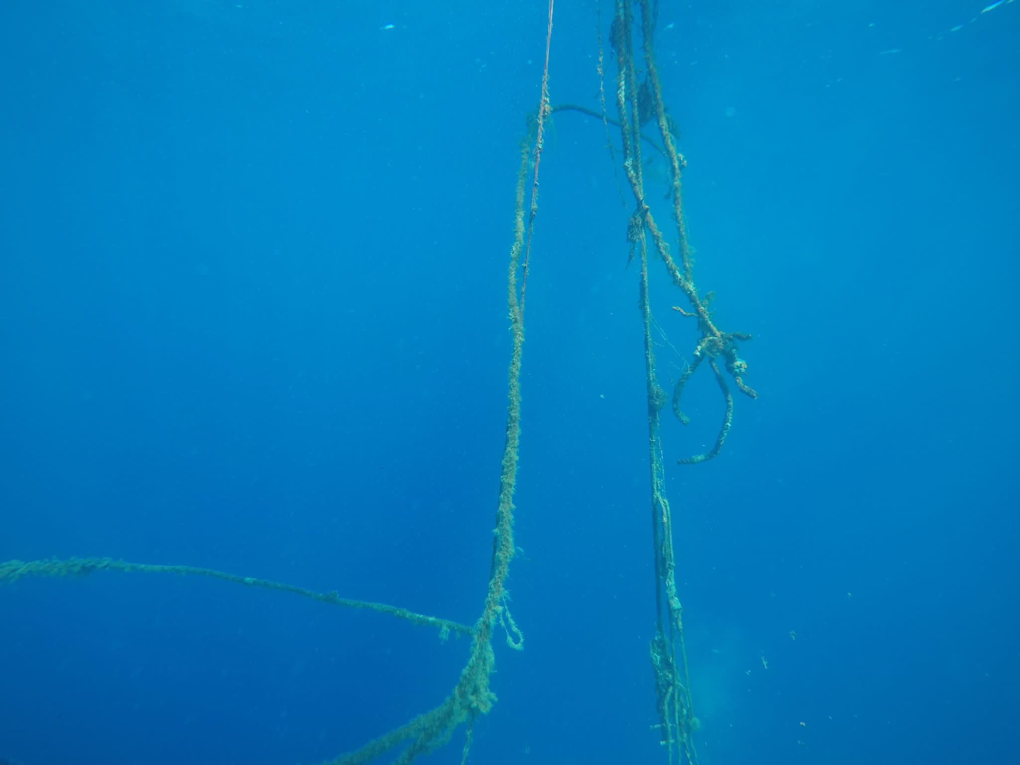 pulizia fondali CP e diving (5)