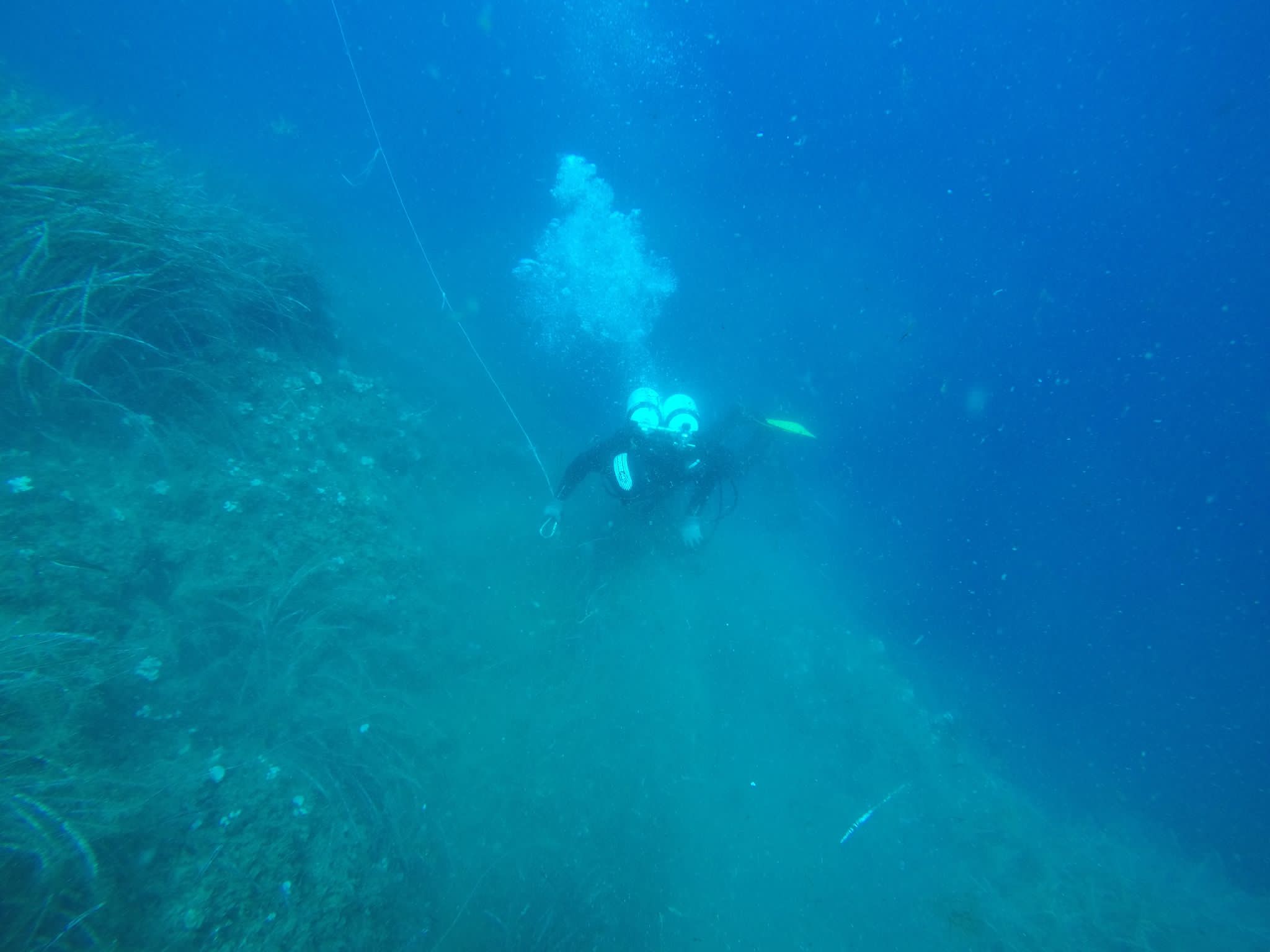 pulizia fondali CP e diving (9)