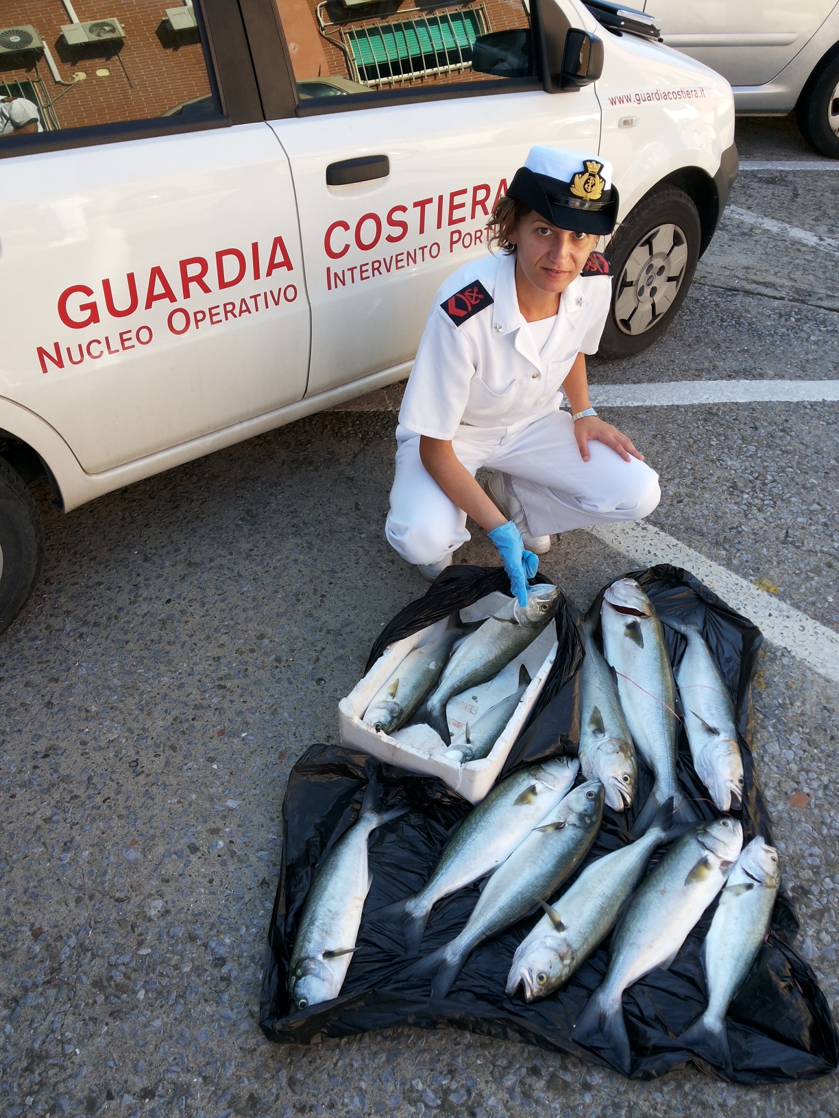 resized Sequestro pesce 03