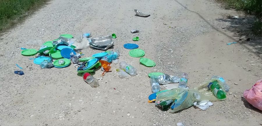 cinghiali e immondizia (4)