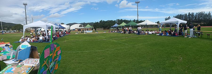campo rugby