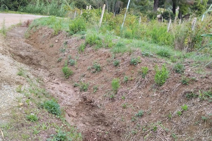 strada di lacona senza bidoni 1