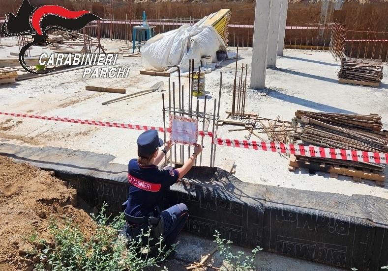 sequestro forestale capoliveri 2