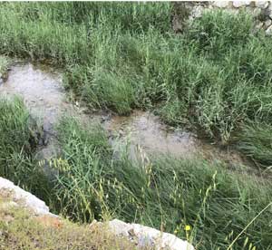 fosso madonnina scarico3