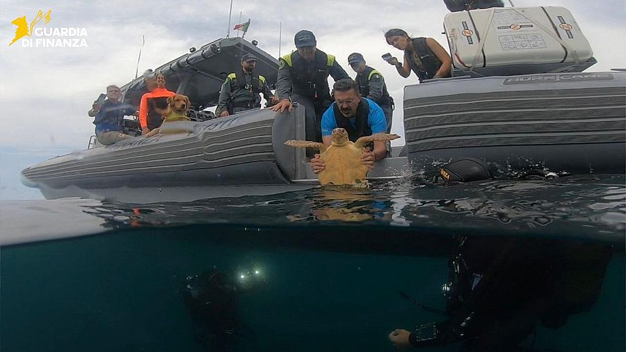 vera torna in mare 1