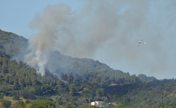 DSC 7749 2179DSC 7749