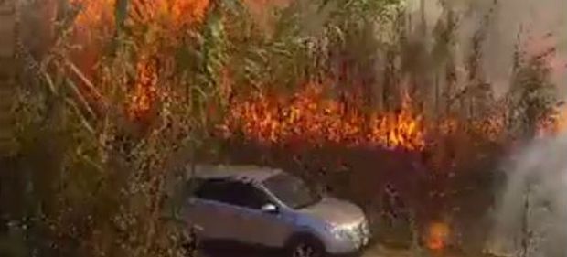 incendio pomonte 620