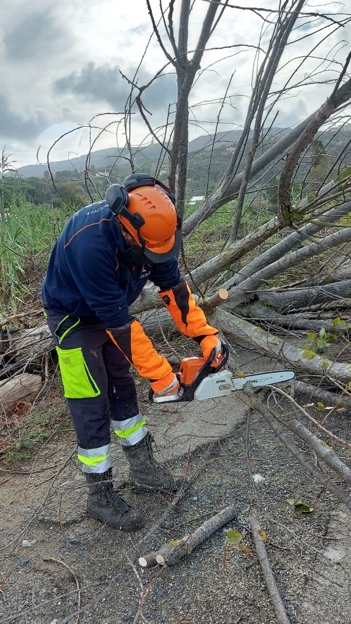 danni capoliveri taglio alberi