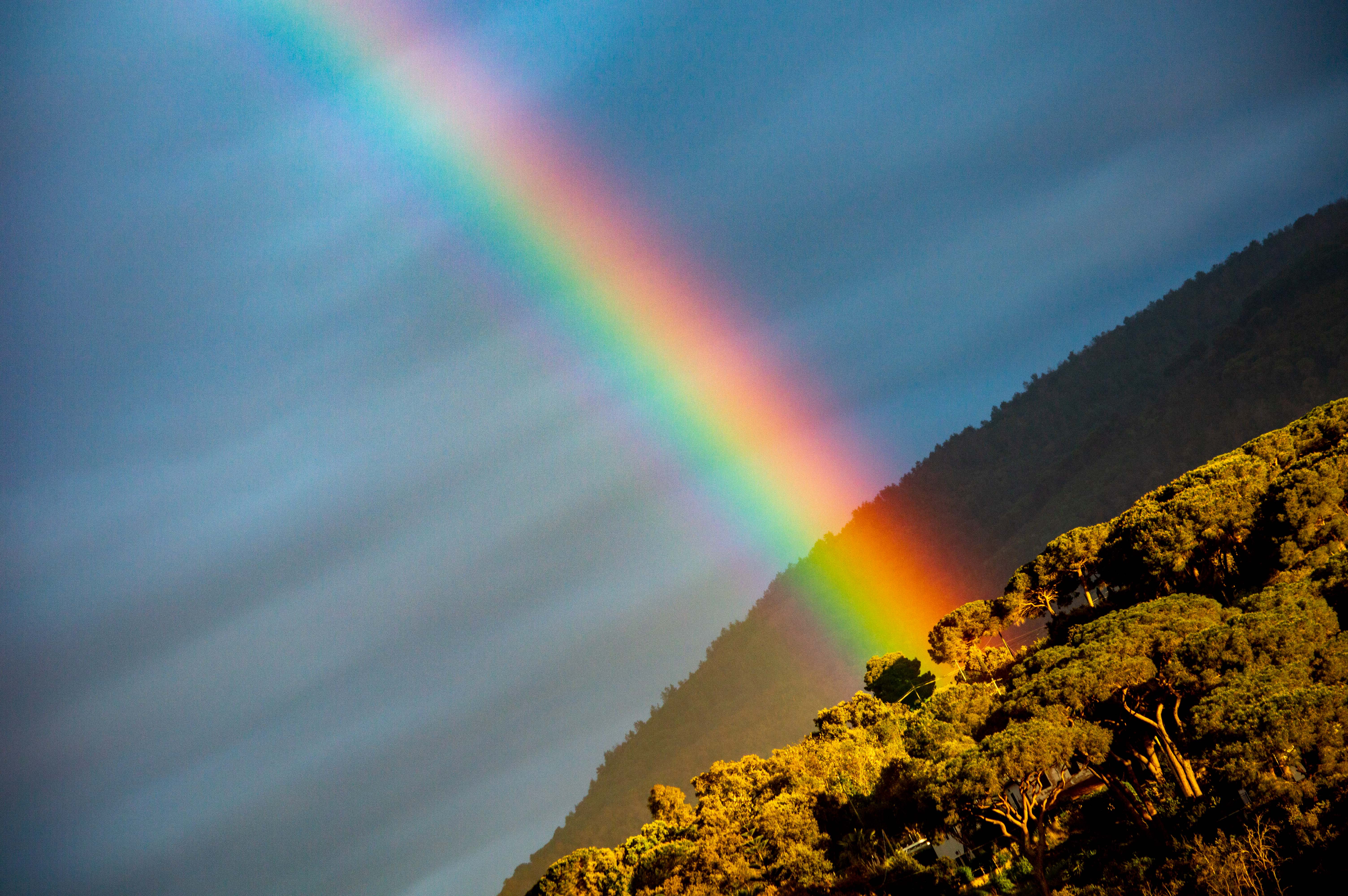 gian carlo diversi (1)