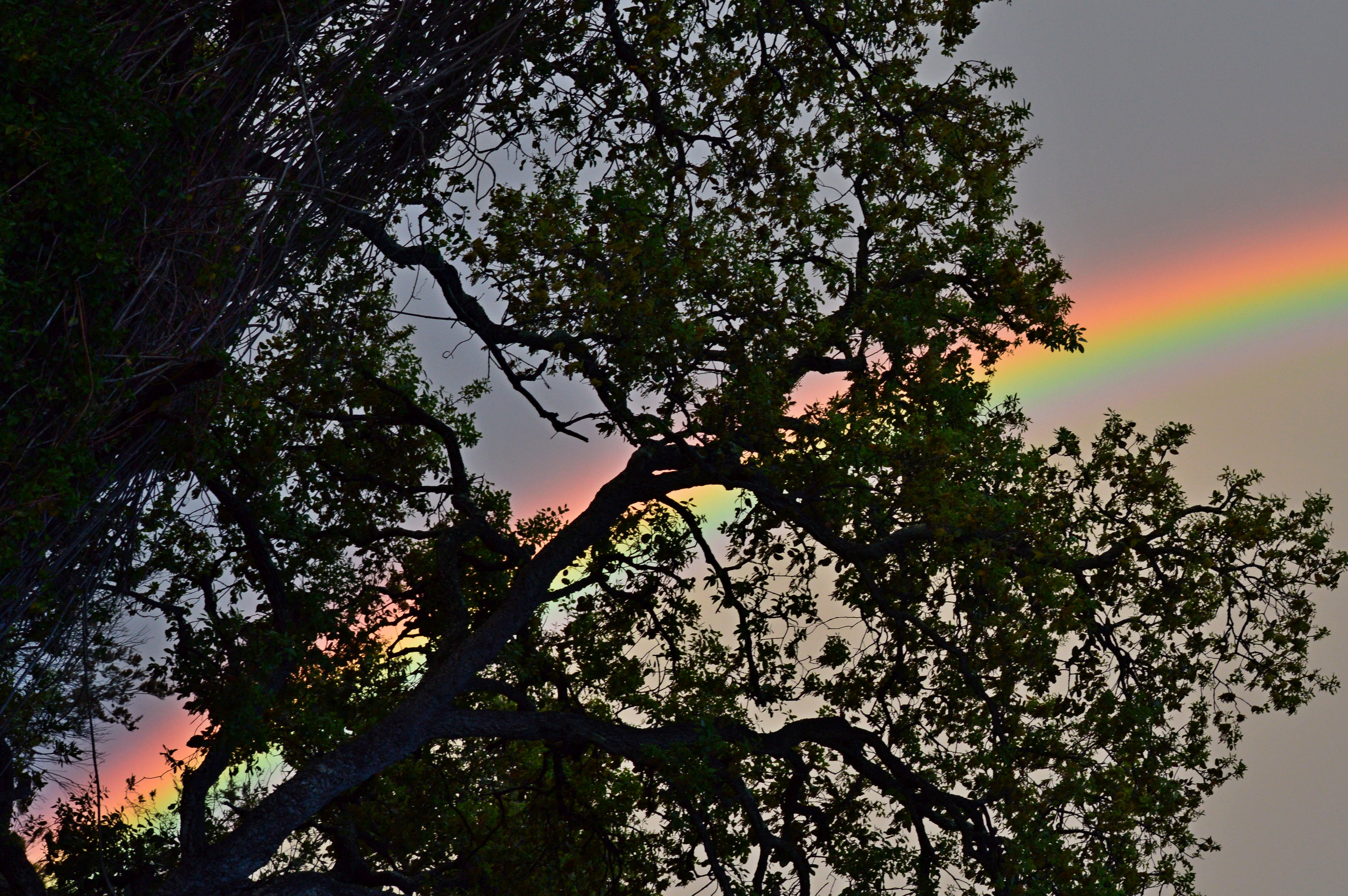 gian carlo diversi (2)