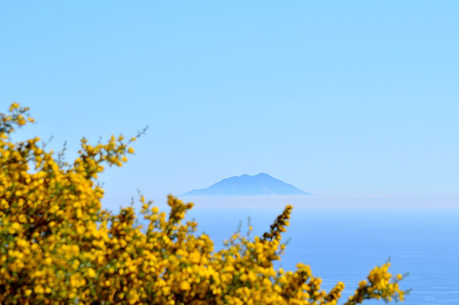 caligo 8 aprile 2026 (3)