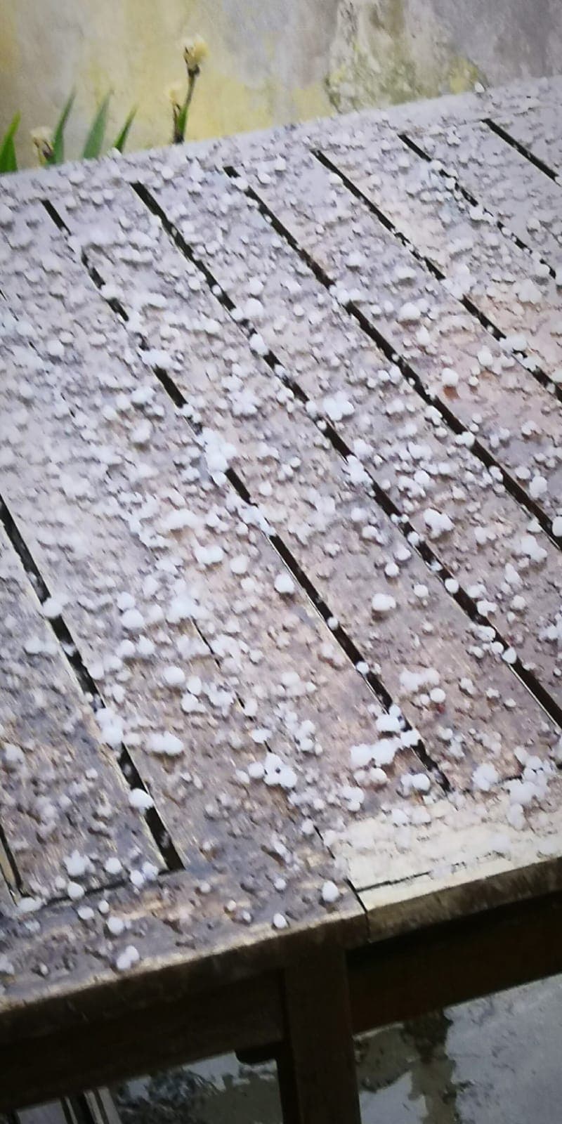 58443099 332564790784846 6600465260426035200 n