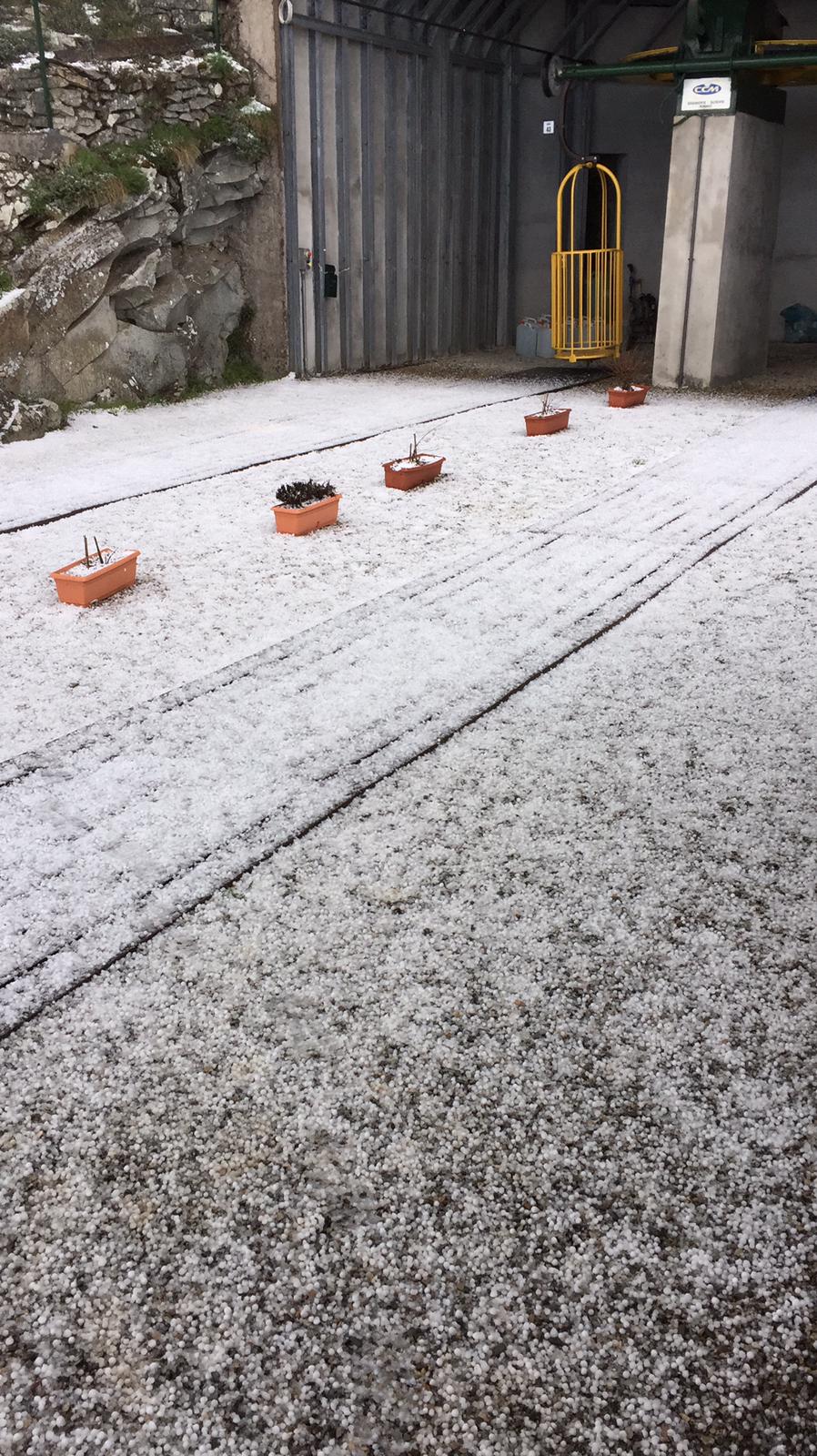 WhatsApp Image 2019-04-29 at 10.55.33