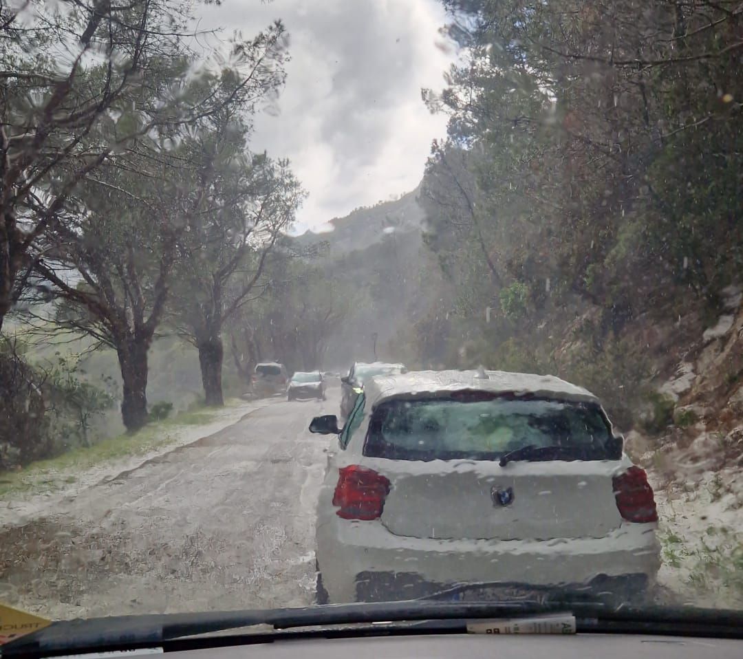 grandine a marciana (2)