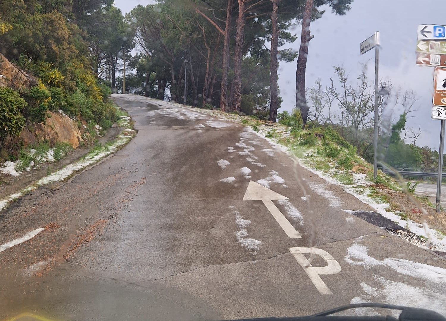 grandine a marciana (3)