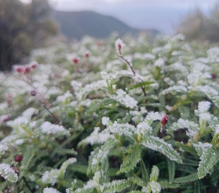 ghiaccio sul capanne