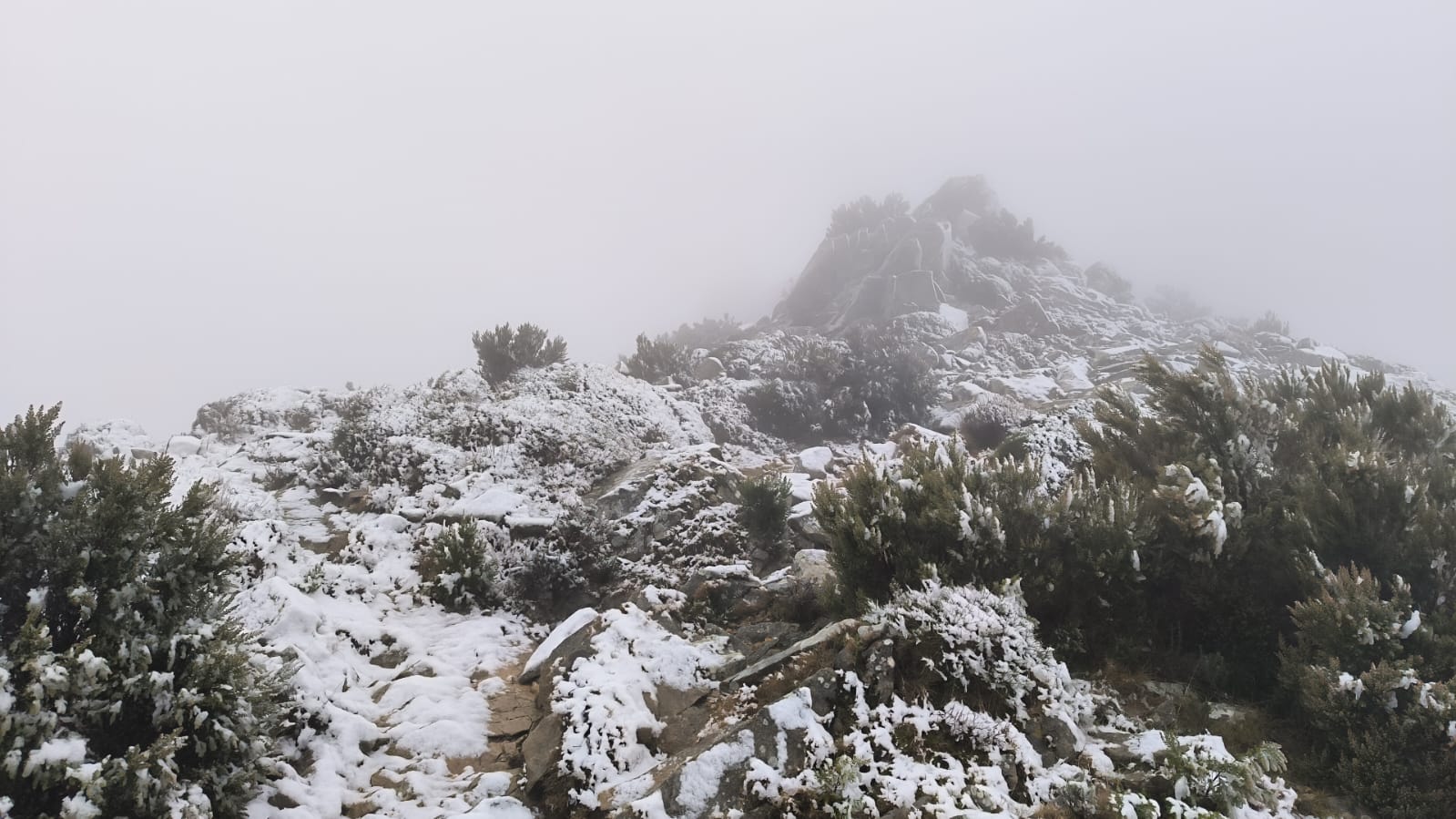 neve sul capanne 06.01 (4)