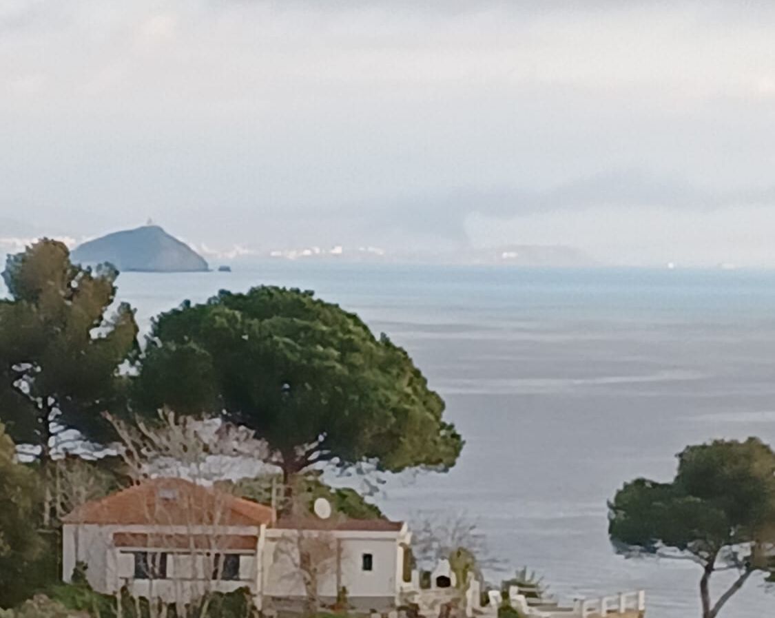 incendio natanti piombino (3)