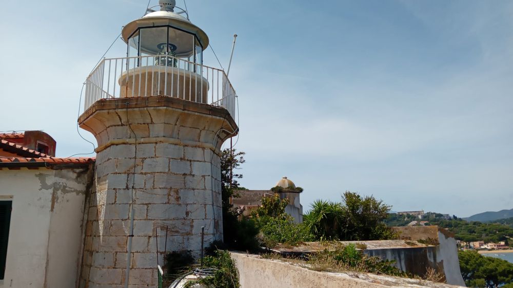 Forte focardo 5